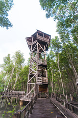 Wooden tower in mangrove forest