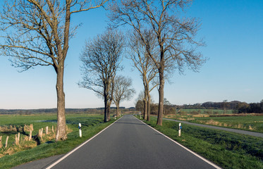 auf einer allee im fr&uuml;hling alleine unterwegs