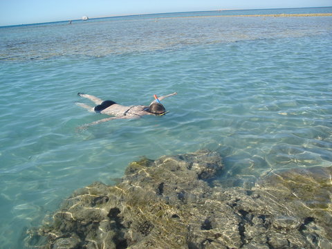 Woman in swimsuit while snorkeling in blue water.