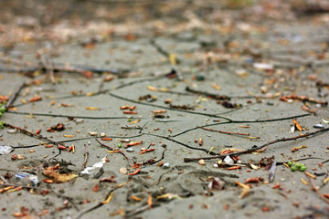 Arid soil and mud after a flood depth of fields
