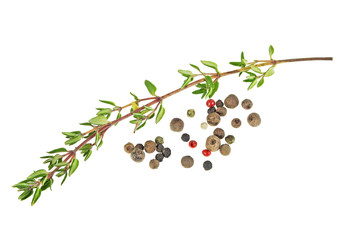 Thyme sprig and peppercorn on a white background