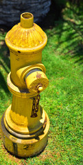 Hydrant © Mateusz