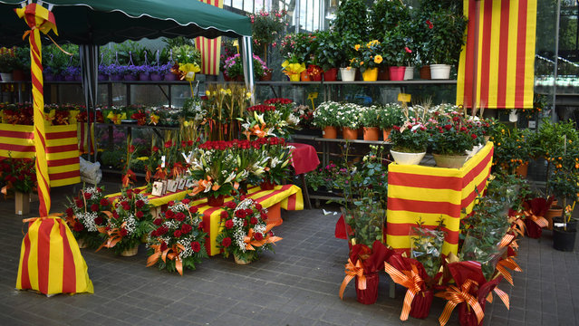 23 de Abril Sant Jordi dia de la rosa y el libro
