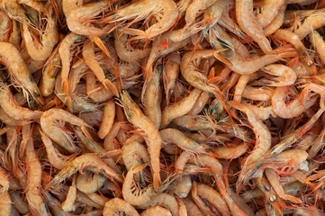 Shrimps