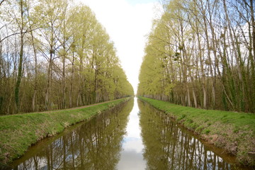 vue  perspective d'une rivi&egrave;re