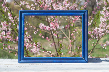Blue frame on a table of blue boards against the background of a flowering bush