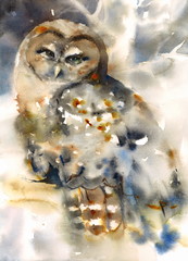 Watercolor Northern Spotted Owl Sitting on the Branch Hand Painted Wild Bird Illustration