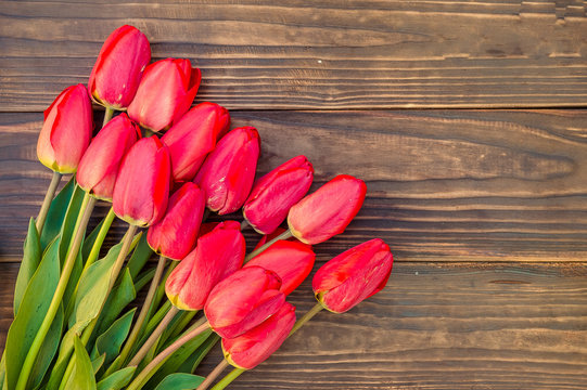 red beautiful tulips lying on wooden background