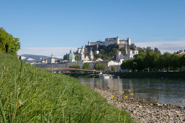 Obraz premium Blick auf Salzburger Altstadt von Salzachpromenade, Wiese und Gras