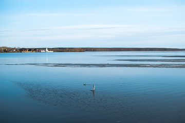 Seagull soars at the spring river