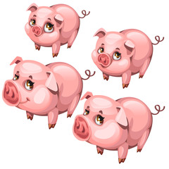 Pink cute shy pig in cartoon style. Vector animal