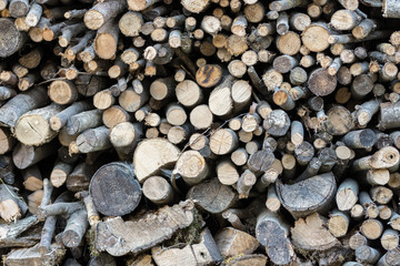 Stack of firewood wood logs