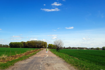 Green field and road