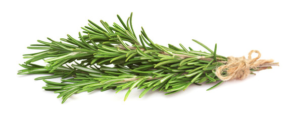 Fresh rosemary branch, isolated on white background