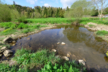 Rock pool off the river Nore in Ireland