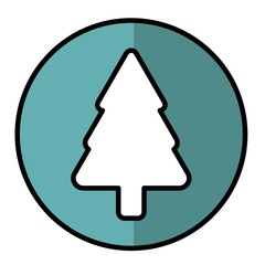 pine tree icon over white background. vector illustration