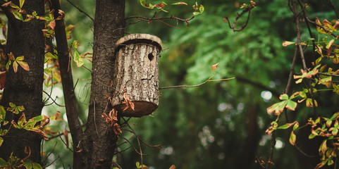 house for birds, birdhouse