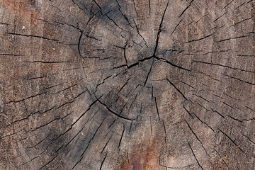 Close Up Of Old Wooden Wood With Cracks Texture Background Top View.