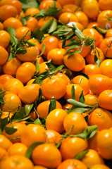 Fresh tangerines in supermarket