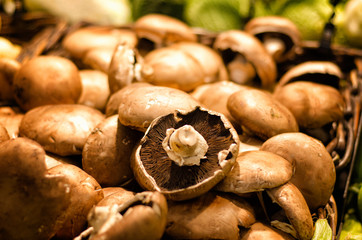 Organic Champignon in supermarket