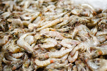 Shrimps in supermarket