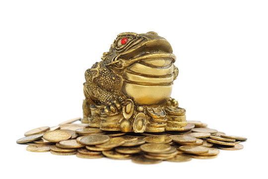 Frog on the money