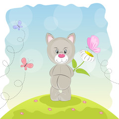 Cute  cat with flower and butterflies on a meadow.