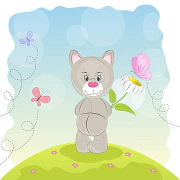 Cute  cat with flower and butterflies on a meadow.