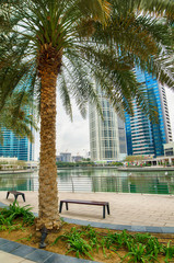 Jumeirah Lake Towers area