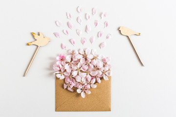 close up of opened craft paper envelope full of spring blossom sakura flowers on white background. top view. concept of love. Flat lay.