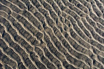 Ripple pattern left on sand after tide receds