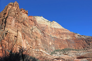 Fototapeta premium Zion National Park, Utah
