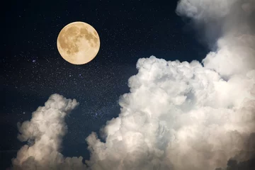 Foto op Canvas volle maan aan de nachtelijke hemel © Alexander Ozerov