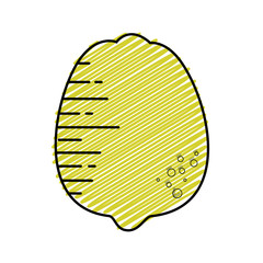 Lemon citric fruit icon vector illustration graphic design