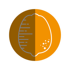 Lemon citric fruit icon vector illustration graphic design