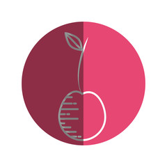 Delicious and sweet cherry icon vector illustration graphic design