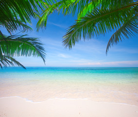 Naklejka na ściany i meble Palm and tropical beach