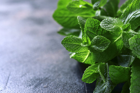 Bunch of raw fresh mint.Copy space background.