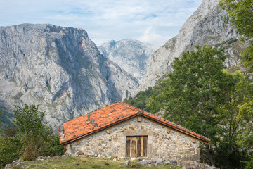 Hiking in the Los Picos de Europa up to the viewpoints, to see the mountain Naranjo de Bulnes and...