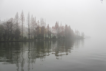 Foggy forest on the lake. Trees in the mist reflecting on the water