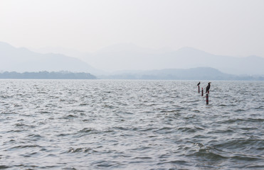 Fototapeta na wymiar A wide deep blue lake. Blue landscape with a lake, mountains and birds