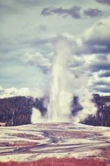 Vintage toned picture of Old Faithful geyser eruption, Yellowstone National Park, Wyoming, USA.