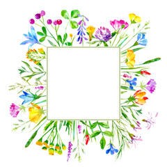 Floral frame of a wild flowers and herbs on a white background.Buttercup, cornflower,clover,bluebell,forget-me-not,vetch,timothy grass,lobelia,snowdrop flowers.Watercolor hand drawn illustration.