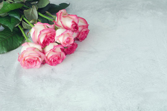 Vintage pink roses background. Pink roses on grey concrete background, copy space