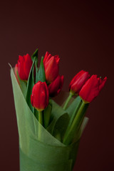 Tulips bouquet