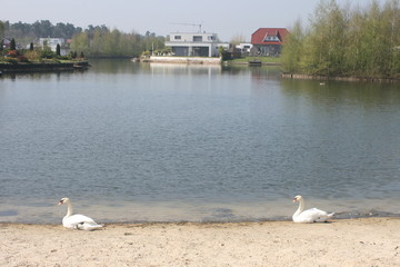 Seelandschaft im Emsland