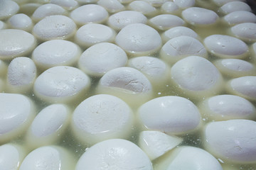 Making homemade mozzarella cheese, the cheese ripens in brine