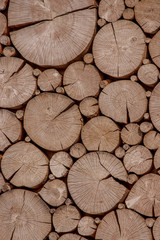 wooden background with round slices