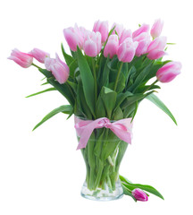 Bouquet of fresh pink tulips with green leaves in vase isolated on white background