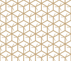 hexagon geometric line grid pattern vector background